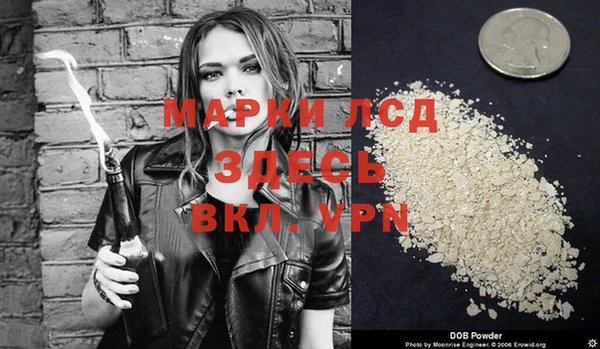 кокс Касимов