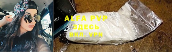 кокс Касимов