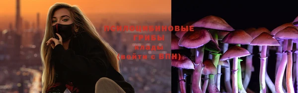 кокс Касимов