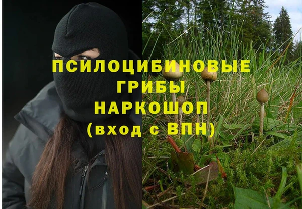 стаф Карталы