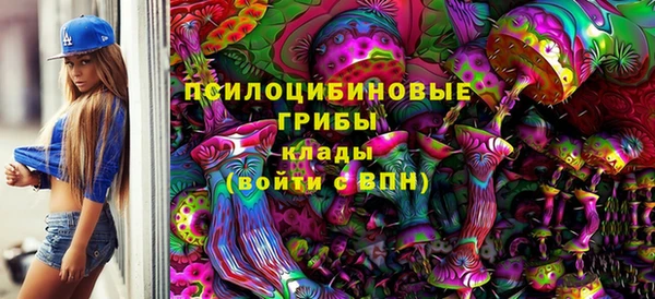 стаф Карталы