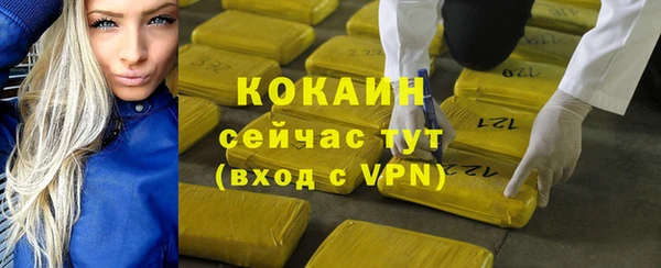 apvp Карпинск