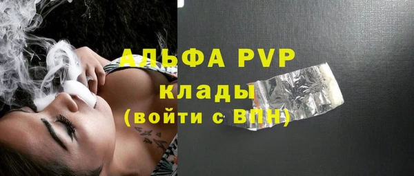 apvp Карпинск