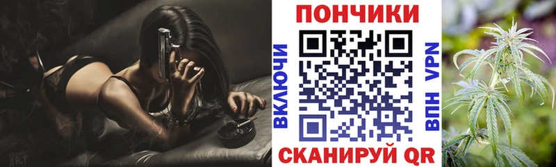 Бошки Шишки THC 21%  Купить закладки  Белозерск 